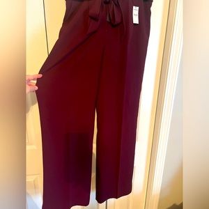 NWT Express Pants